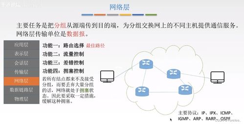 計算機網絡基礎與信息網絡設計